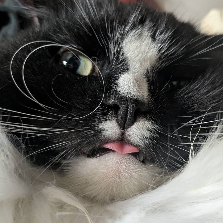 16e1576b d8d4 4a82 8faf 1f2c5b96e765 1759804928882