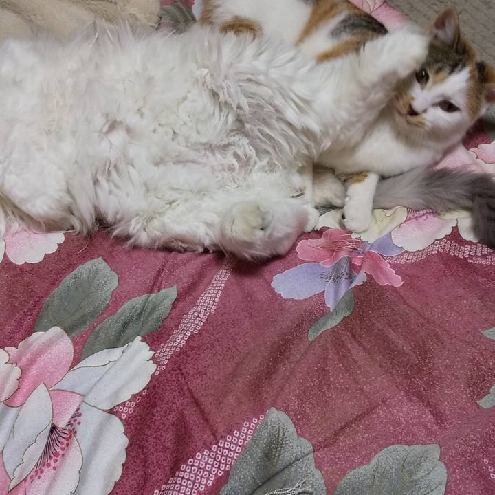 16e178a1 5b48 414b 8c73 33b85e3a605f 1645181173298