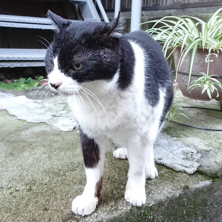 16e185d4 d265 430e a1a0 4916e1b55b24 1671766673134