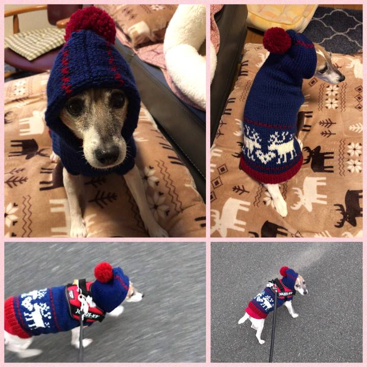 16e19645 ef99 4f35 8a3f a9d30c468560 1513860961405