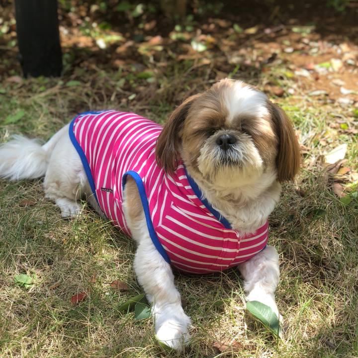 16e19f40 b97c 4ccf 9294 675efbf78ad3 1525409659366