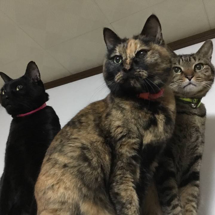 16e1e507 ed7a 4d54 b3c9 97791827c473 1519903371546