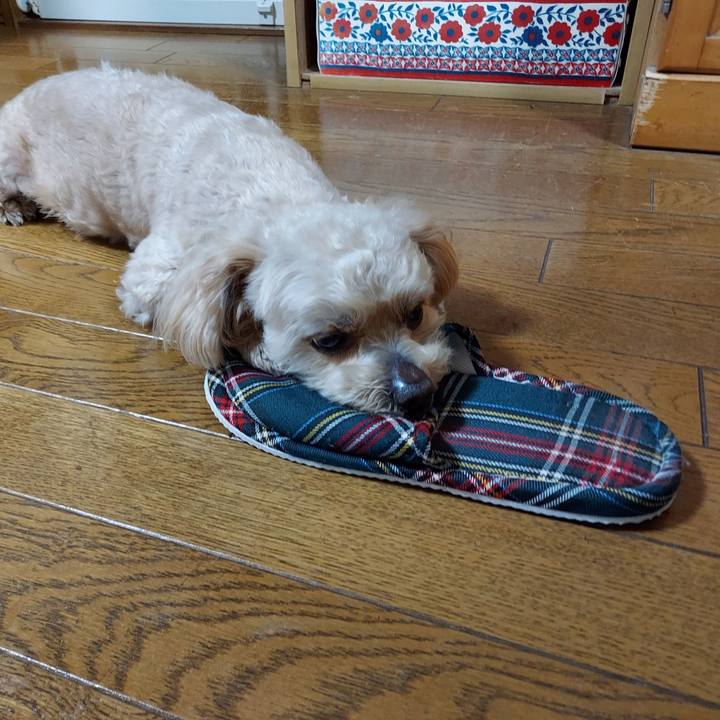 16e229b0 0f5d 4ea6 9660 d491272af6c2 1623065286511