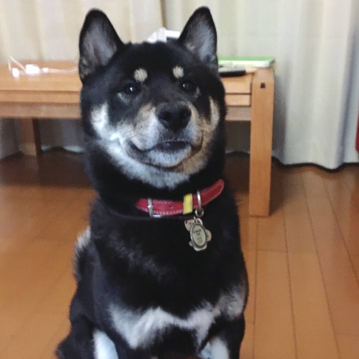 16e24647 5cfb 46dc bd46 03fda4eb02d5 1522243181579