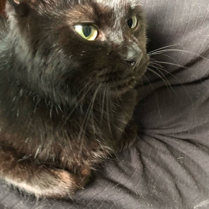 16e25715 1185 4d74 a05a 958c370a88d7 1568323962652