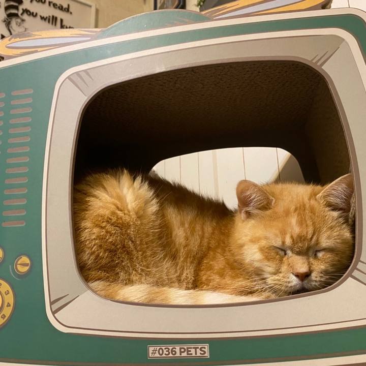 16e26a18 dd97 463b 86bb e2c83e6257f5 1631794110294