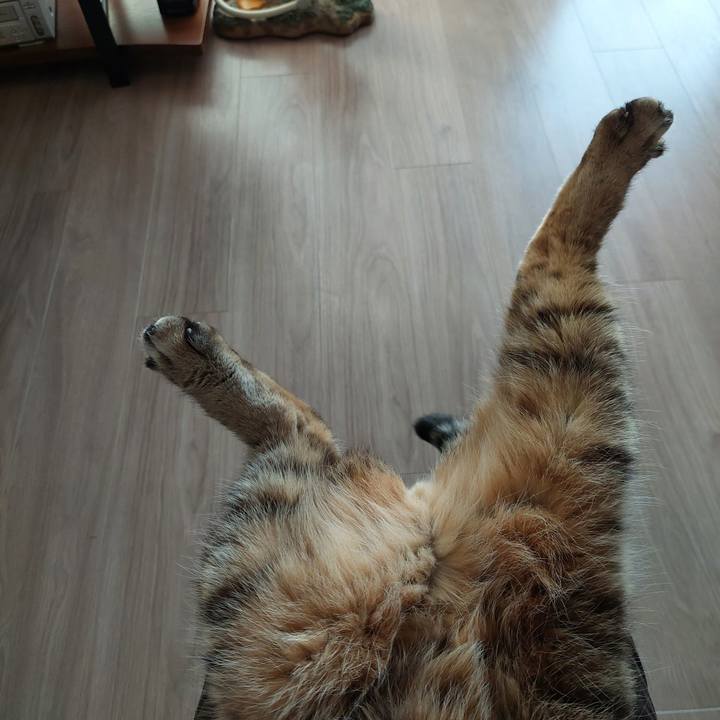 16e2848c 4d61 4313 9530 e1e7e39dd424 1732429550629