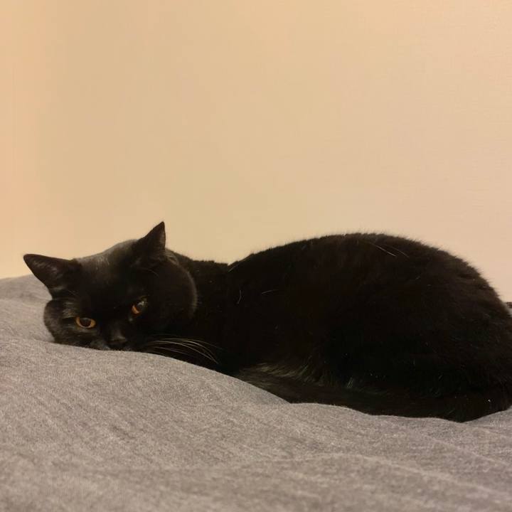 16e2de66 d0f9 4761 9df9 5fe75b878fde 1672150031798