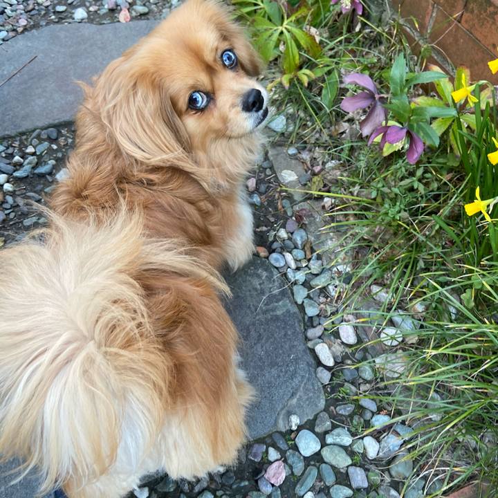 16e3213d fcc6 4288 95d6 3d73b7fd16b0 1584051935069