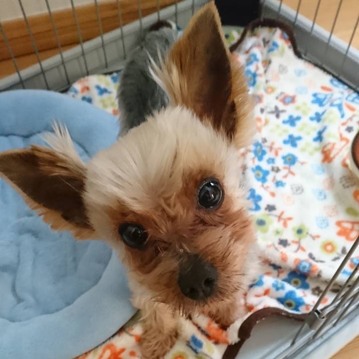 16e3364c 7bee 4551 9088 c07c737b220f 1523228027213