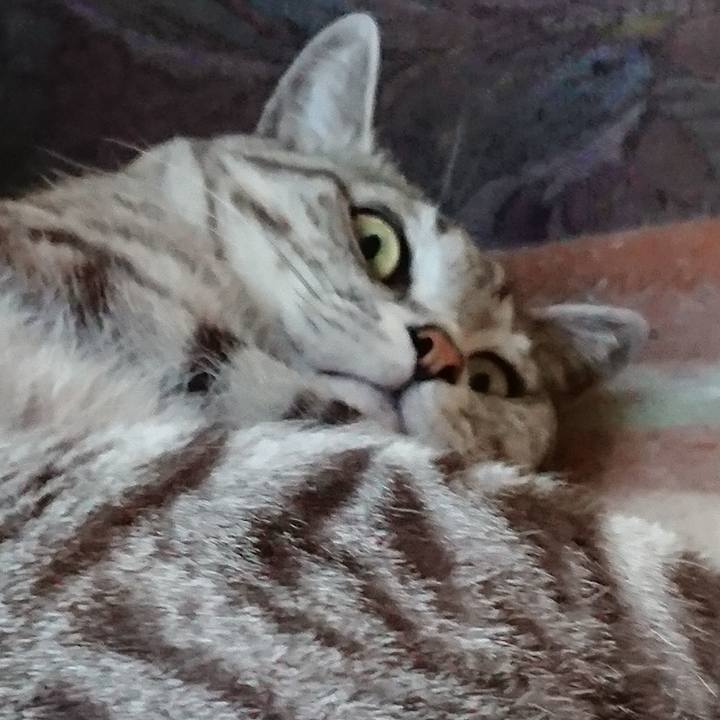 16e34f33 69f9 4d52 8fe0 61e5f94dfc94 1558944906534