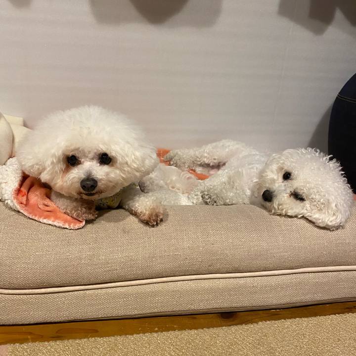 16e351a7 ca46 48d7 bb9c 5c9769291db4 1774872848638