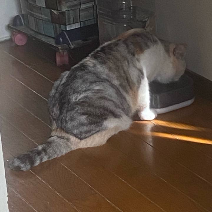 16e369d1 1dc9 4cf4 90b1 7f5385e026c1 1757729239325