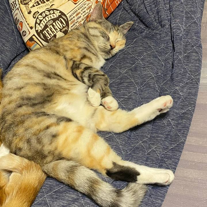 16e36b26 21d7 4d92 9df0 5b54b70760b9 1620990879630