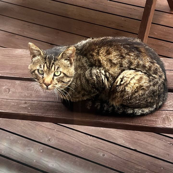 16e3c207 6331 4d3b bb59 79ef6b8752ca 1721943586636