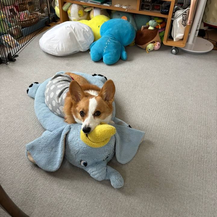 16e3d56f 6678 4378 9d18 2738e73b881e 1764655257833