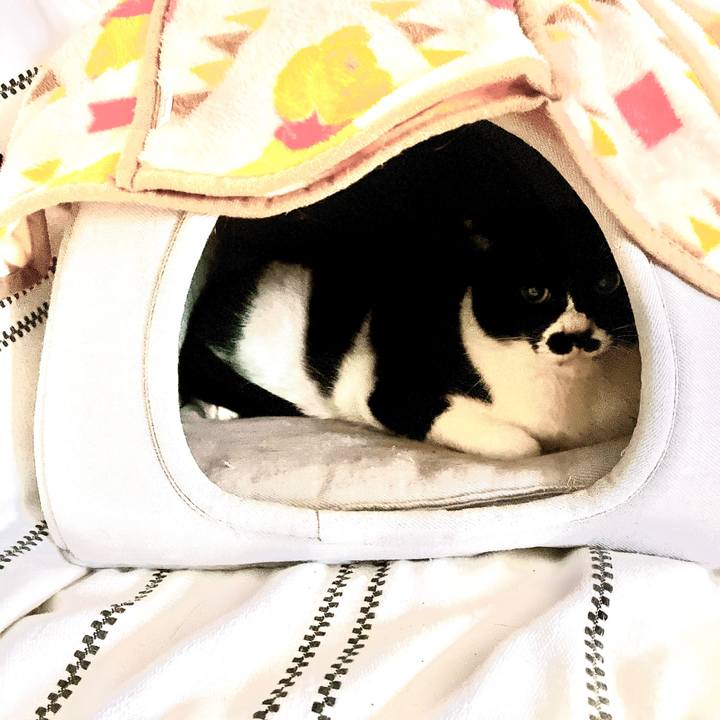 16e3ec37 dcbd 450f 9450 14572898ae9b 1669962794205