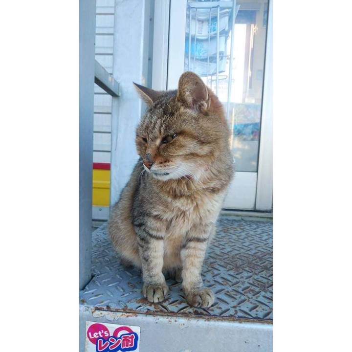 16e4c054 ce90 4aab a8b8 3a12f02d3dbb 1636887844748