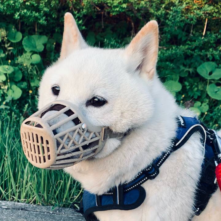 16e4c46a 5a89 414c b9e5 6176b5301b3d 1652731608387