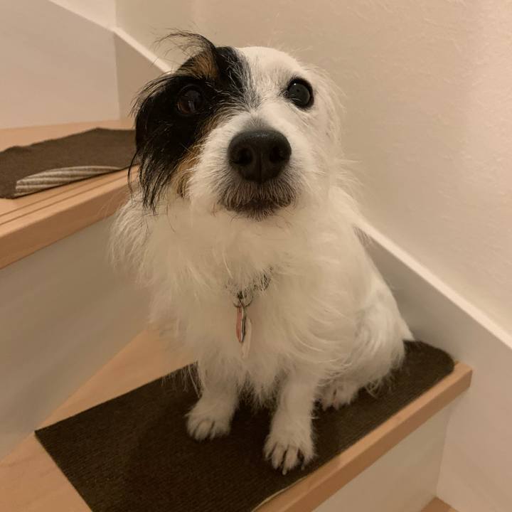 16e4e1d5 9fef 4f8f 9331 62a9b76fa4b7 1616335306102