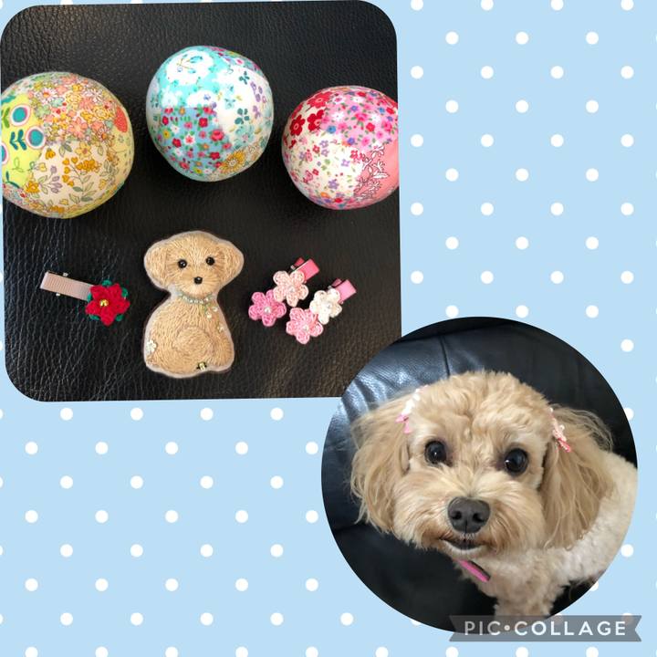 16e5179e 3d6d 4f53 88b0 5a83b7cc4a66 1667702209895