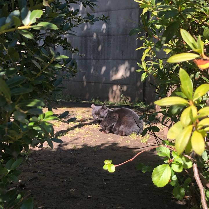 16e55490 9972 47e8 a958 ce760974159e 1645974617767