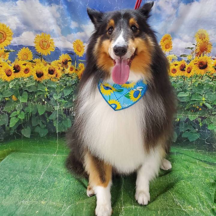 16e56215 70ef 4934 808c 6959569bb135 1695548972497