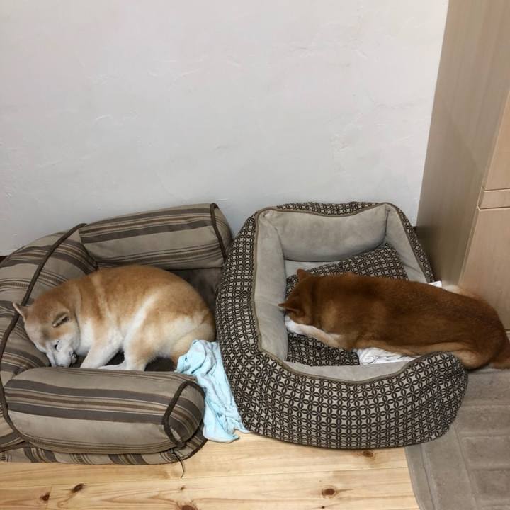 16e5a478 39c6 4d02 b1b5 aded9d605e8a 1537435041858