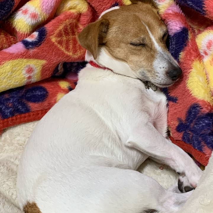 16e5c9be 2dc6 4211 8052 991e2d8e110d 1603970392932