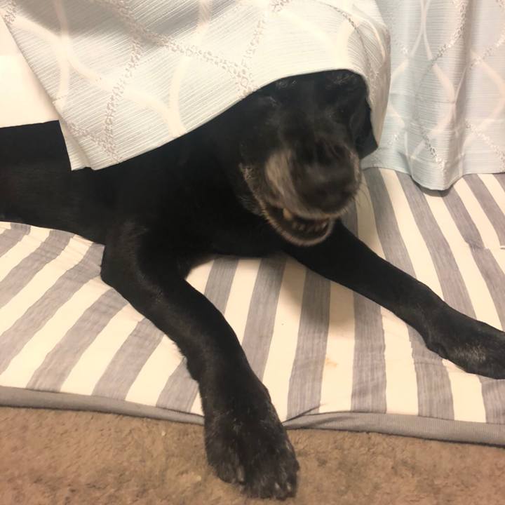 16e5c9c3 8ba7 4cab bb42 212595decc7d 1570368250629