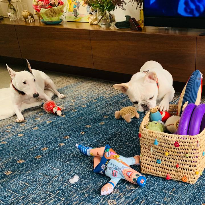 16e5f44d c9f9 4e7d a7e8 0aba7404f777 1611544384304