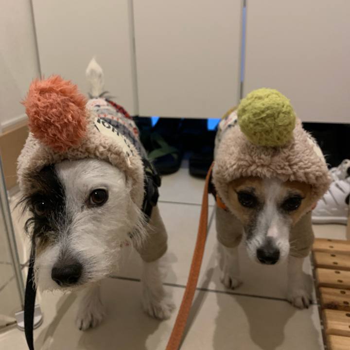 16e5f944 a18f 4aeb a55c 2f61fa0ff63c 1603872652040