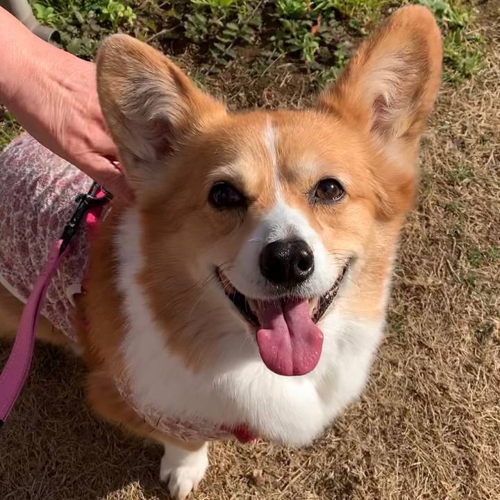 16e5fb2f 01c5 4cd6 a481 72802dc7f103 1674010671440