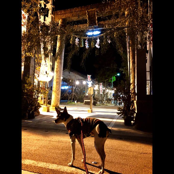 16e60397 2414 47a1 b34c b8d6b98984be 1546294976950