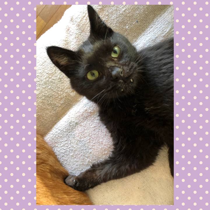 16e65ce2 db0a 420b 890b 7fa5e1fe2f63 1626470487491