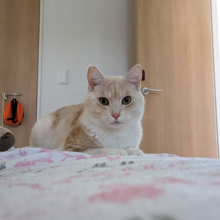 16e670fa bdc6 4e6a aac6 98340f26246d 1715724665133