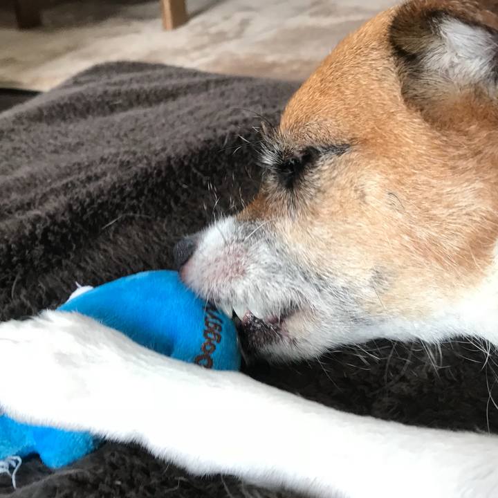 16e67685 ec00 4aca a0fe 1edfed4ff293 1532305304623