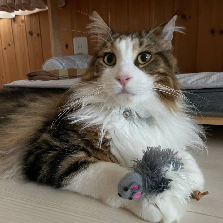 16e682c5 78de 4fab a584 1369846af633 1656446526542