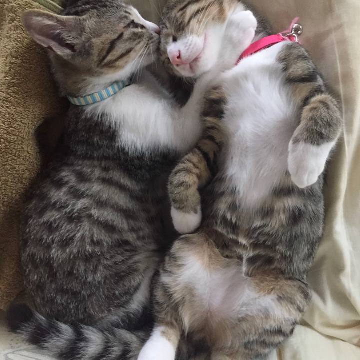 16e737ef cdac 400b b1d6 114ff4c42b14 1657985938109