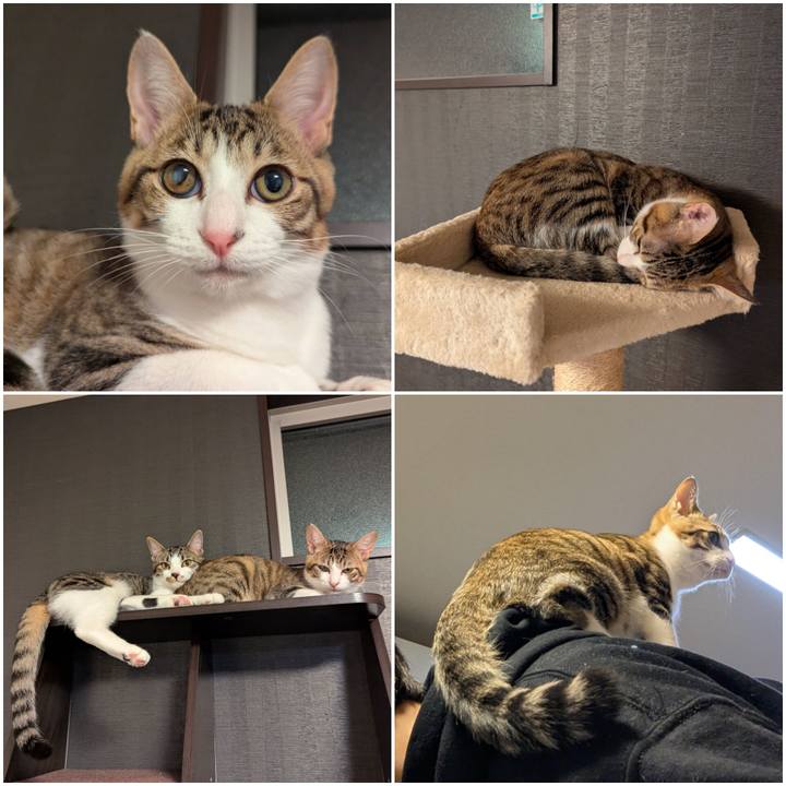 16e76a3e caae 4a4a be08 9519e521b4e5 1735541214901