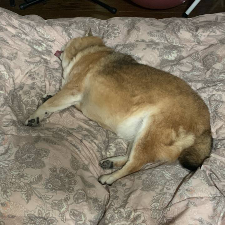 16e798ee f47c 4bed ac4b c93c0cc2a991 1617196135540