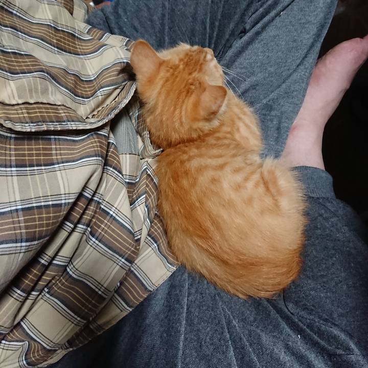 16e82c9e d323 4a82 a3bb c05d346f9033 1631099231268