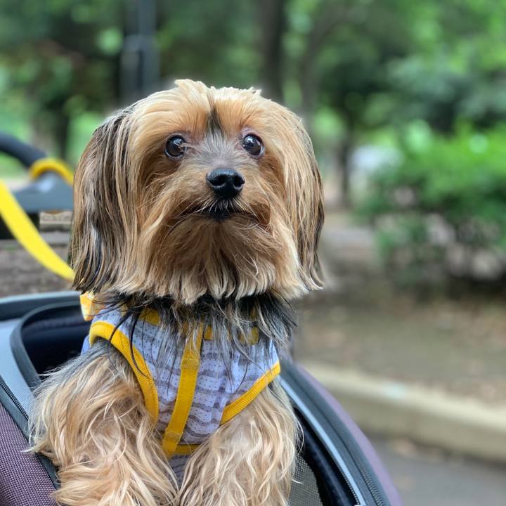 16e840c5 12b2 4e00 8112 da2e024cae5e 1560300958985