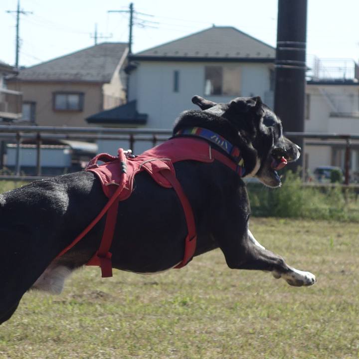 16e90383 dadb 4413 b8a2 ad49decdfc5d 1681093334265