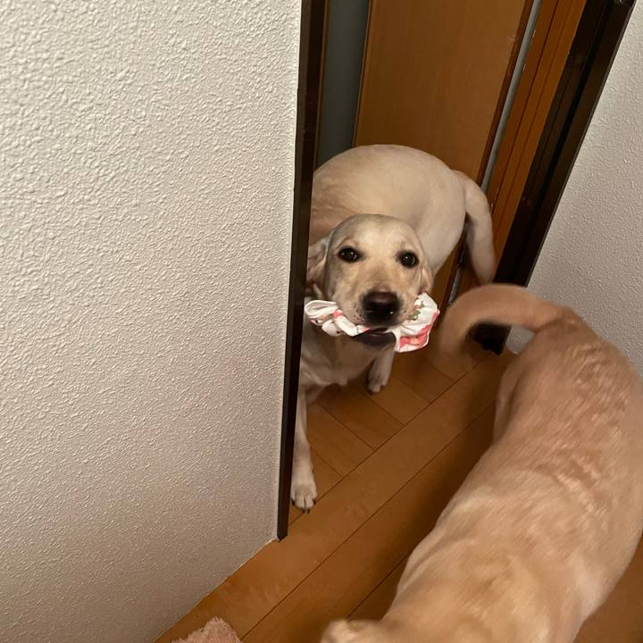 16e90e1d 8609 4376 9c48 b70714c50649 1644011265272