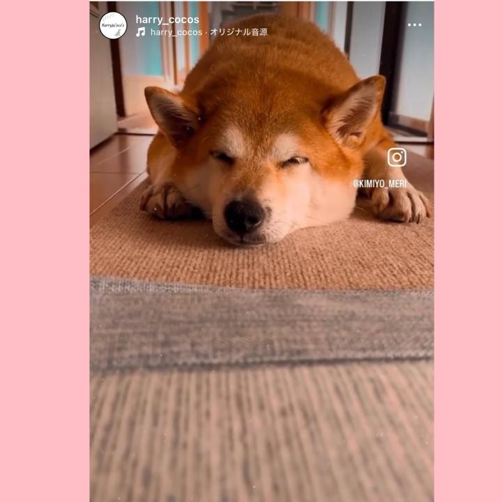 16e926a5 81c1 439d 89db 47ea7b8da01b 1729052560214