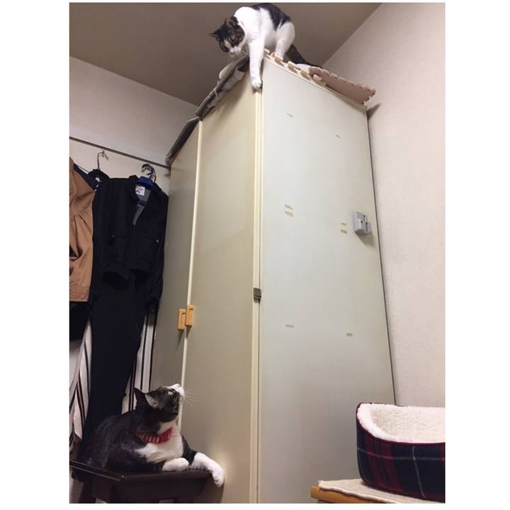 16e92e92 61e6 493a a9ba 2a816f1dc604 1539264785175