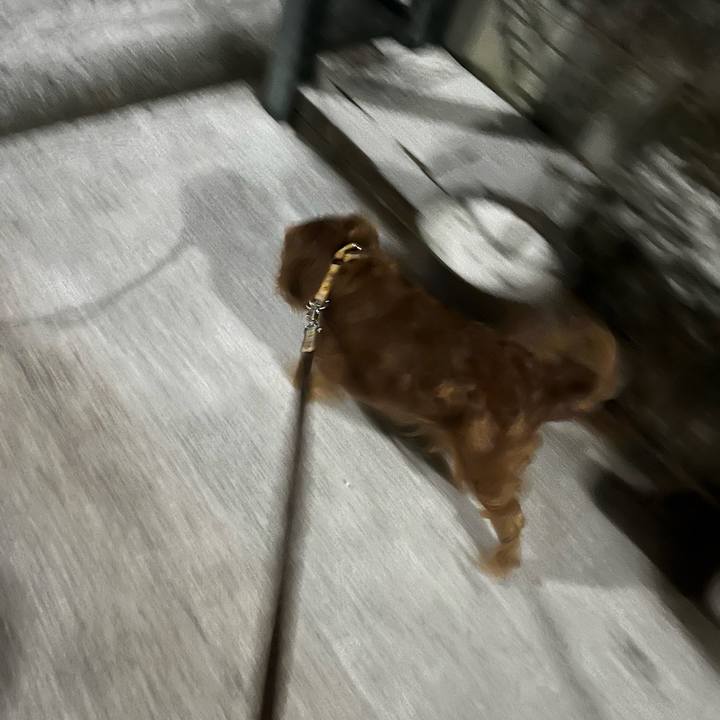 16e93931 efe2 465f b005 a48a8f9abe39 1738928970995