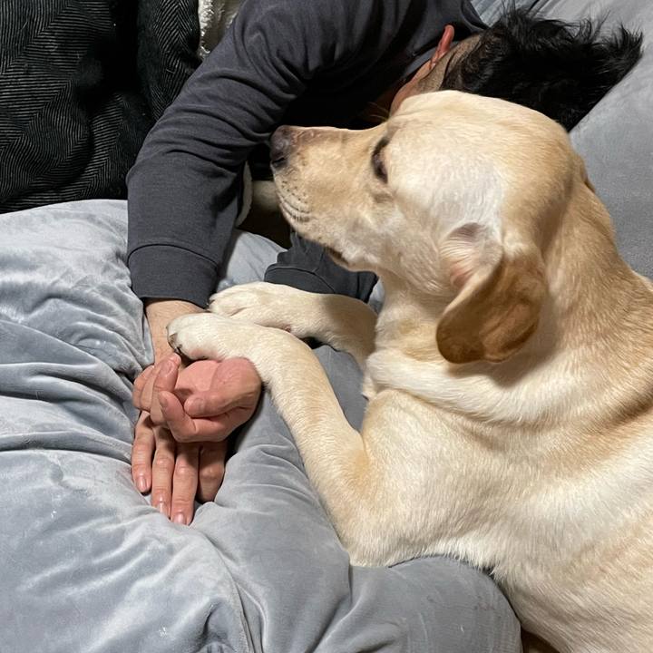 16e94d72 6fd8 4779 a60c 7248b41902c2 1640963788032