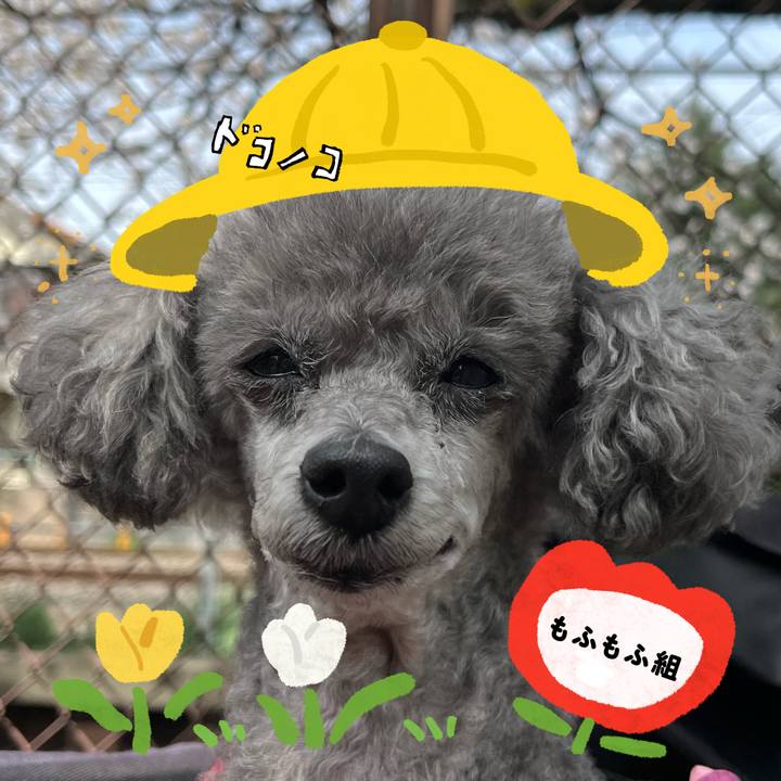 16e98a15 2023 46e8 a59e 97c88408274d 1712473545052